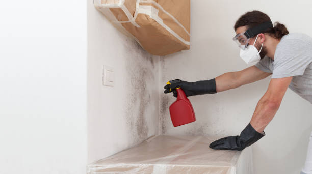 Professional Mold Testing technician working in Wilmette, IL